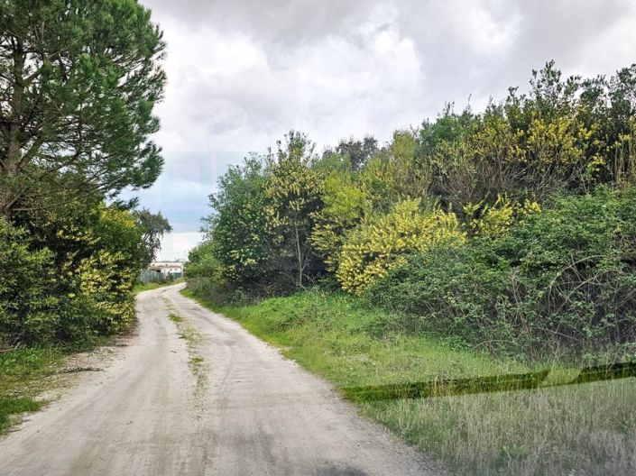 Image No.12-Terrain à vendre à Montijo