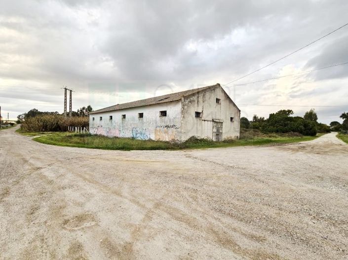 Image No.15-Terrain à vendre à Montijo