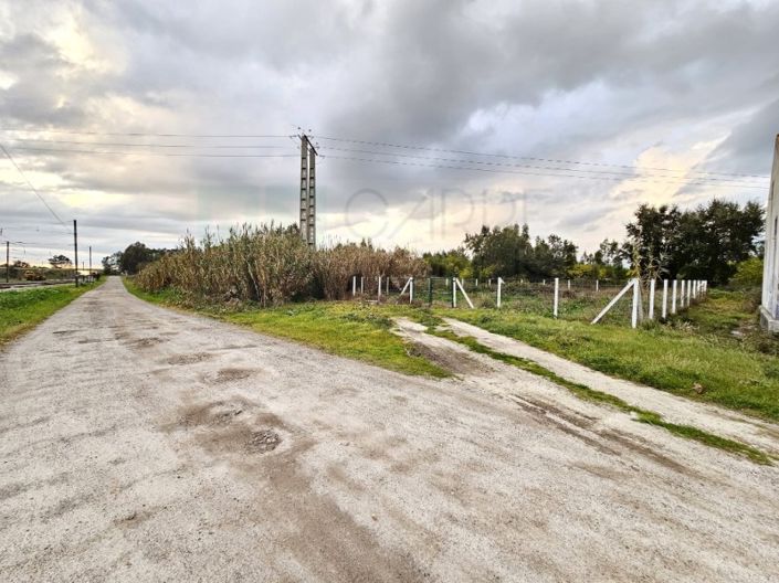 Image No.16-Terrain à vendre à Montijo