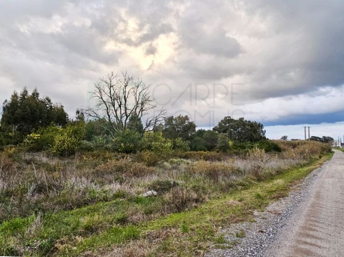 Image No.17-Terrain à vendre à Montijo