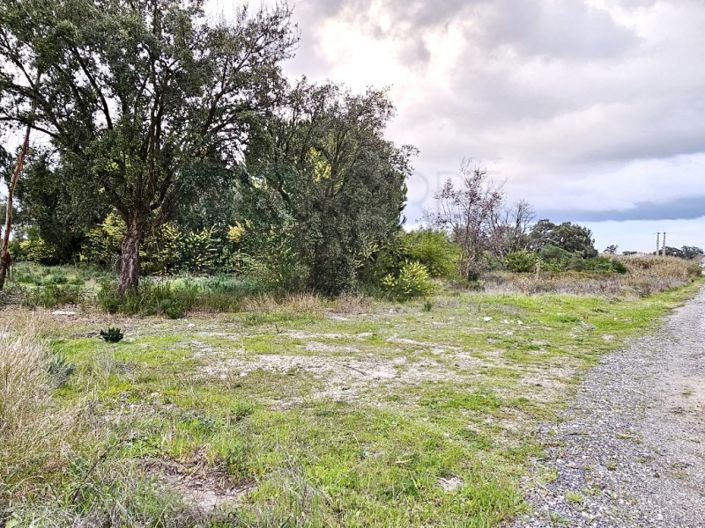 Image No.18-Terrain à vendre à Montijo