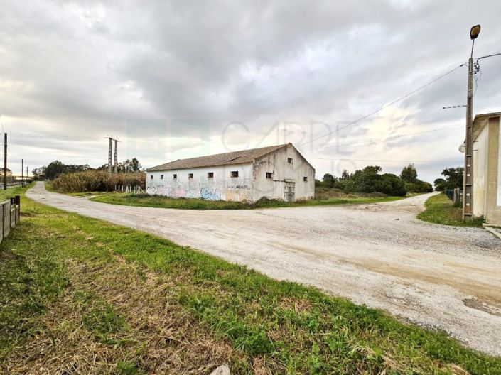 Image No.19-Terrain à vendre à Montijo