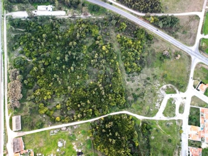 Image No.31-Terrain à vendre à Montijo