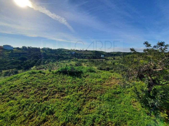 Image No.19-4 Bed House for sale