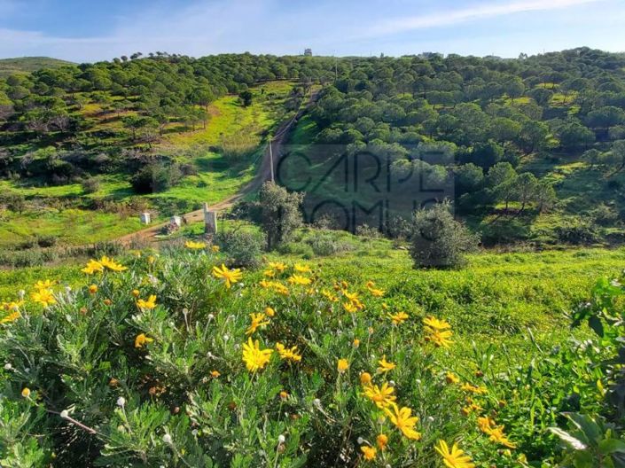 Image No.20-4 Bed House for sale