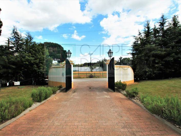 Image No.66-Ferme de 4 chambres à vendre à Benavente