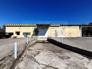 id7d0f9801-0000-0500-0000-000017826ff6