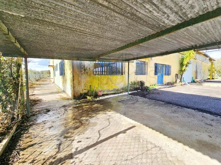 Image No.10-Propriété à vendre à Chamusca