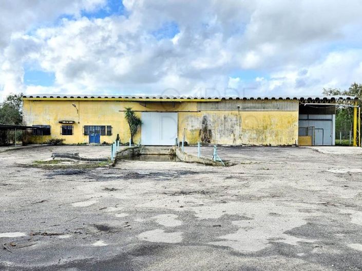 Image No.11-Propriété à vendre à Chamusca