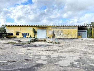 id7d0f9801-0000-0500-0000-000017826ffe