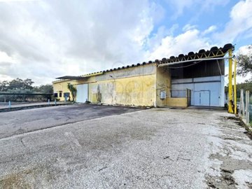 id7d0f9801-0000-0500-0000-000017826fff