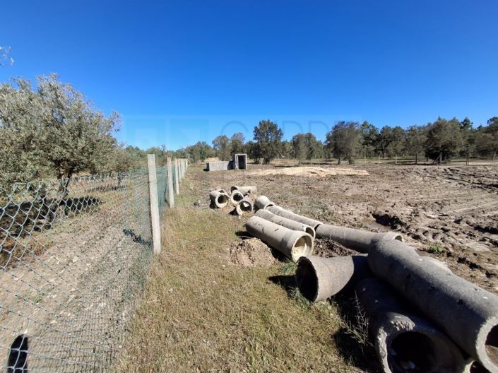 Image No.39-Propriété à vendre à Chamusca