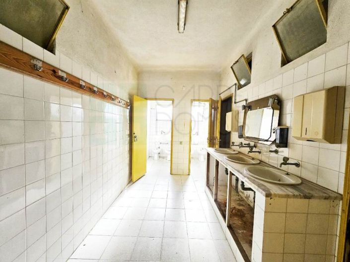 Image No.16-Propriété à vendre à Chamusca