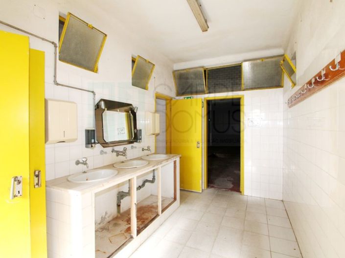 Image No.17-Propriété à vendre à Chamusca