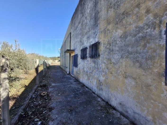 Image No.41-Propriété à vendre à Chamusca