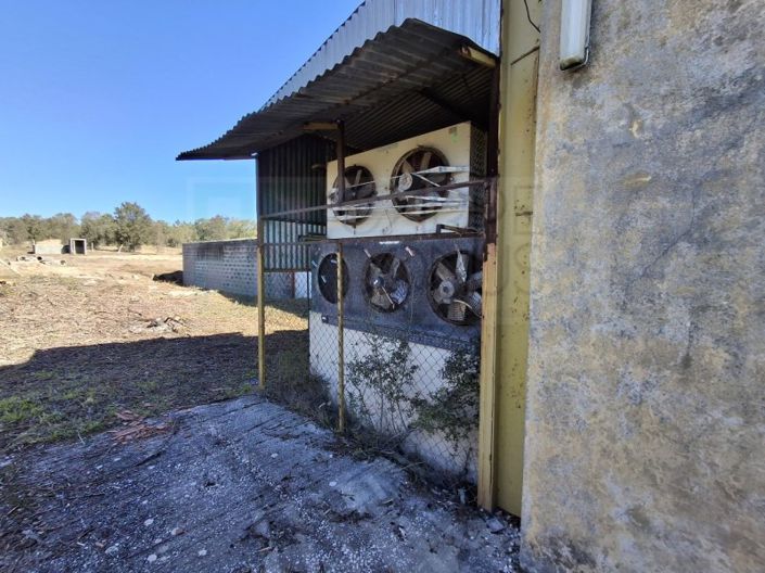 Image No.42-Propriété à vendre à Chamusca