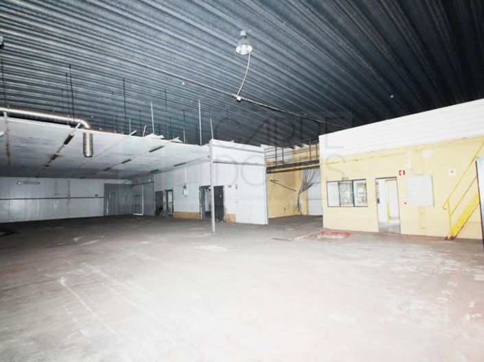 Image No.2-Propriété à vendre à Chamusca