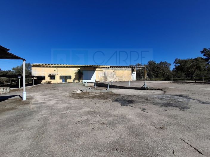 Image No.43-Propriété à vendre à Chamusca