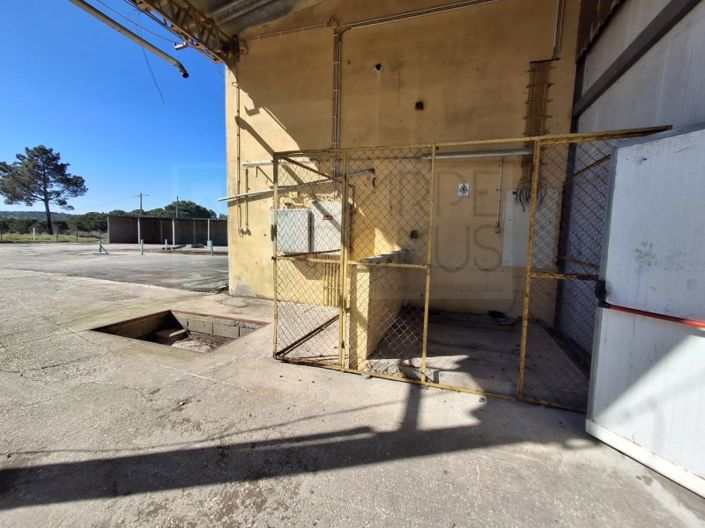 Image No.44-Propriété à vendre à Chamusca