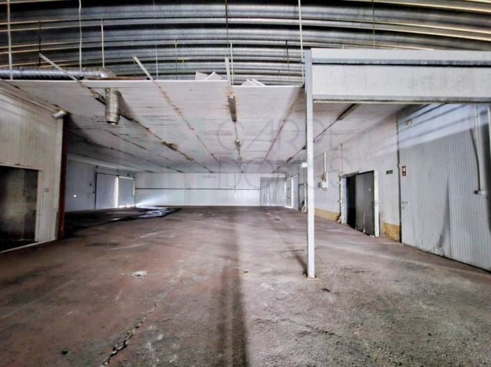 Image No.26-Propriété à vendre à Chamusca