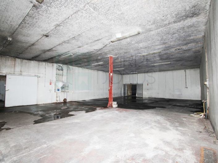 Image No.27-Propriété à vendre à Chamusca