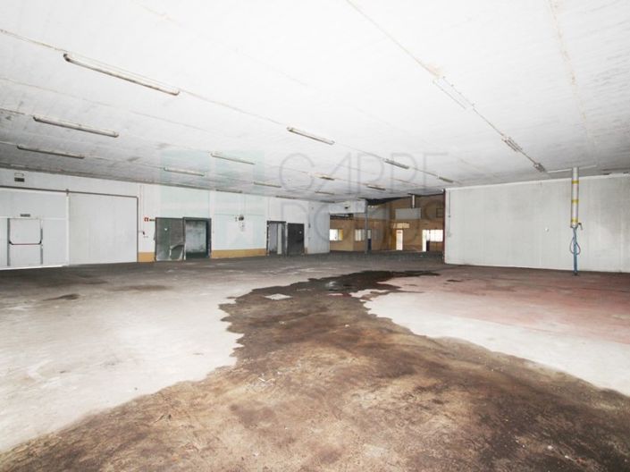 Image No.29-Propriété à vendre à Chamusca