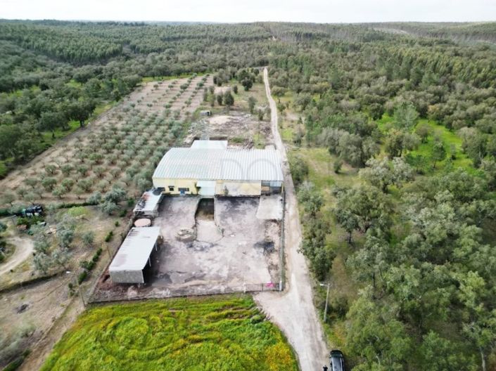 Image No.3-Propriété à vendre à Chamusca