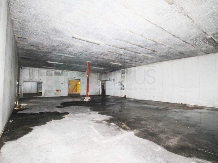 Image No.30-Propriété à vendre à Chamusca