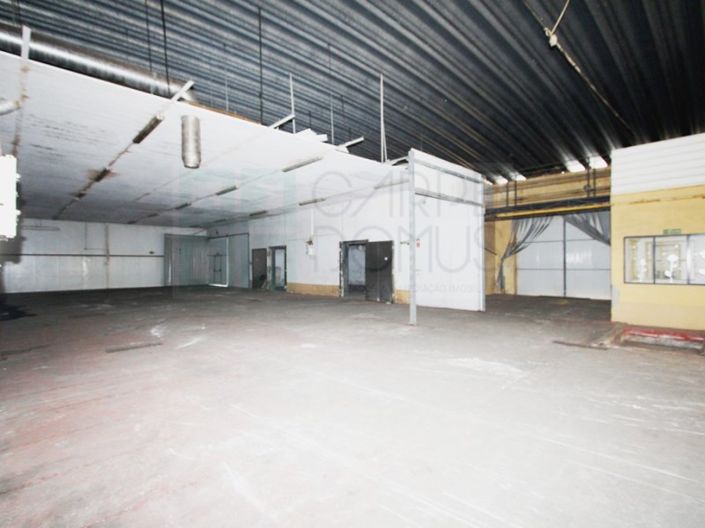 Image No.33-Propriété à vendre à Chamusca