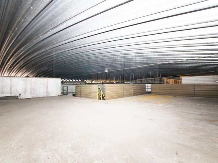 Image No.34-Propriété à vendre à Chamusca