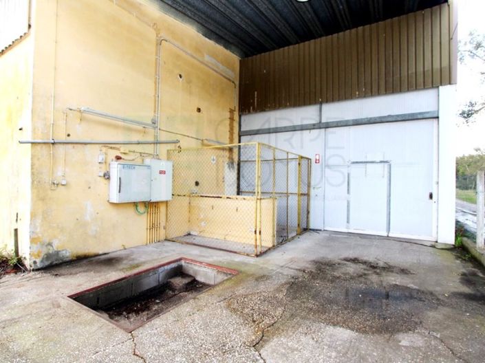 Image No.36-Propriété à vendre à Chamusca