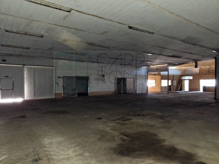 Image No.38-Propriété à vendre à Chamusca