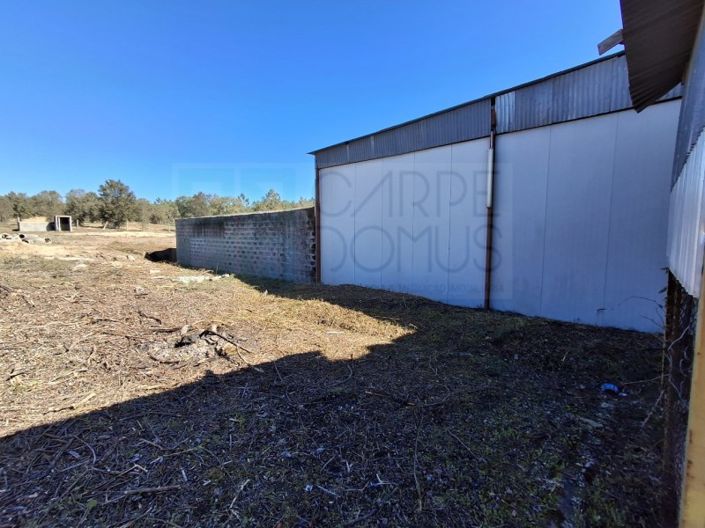 Image No.40-Propriété à vendre à Chamusca