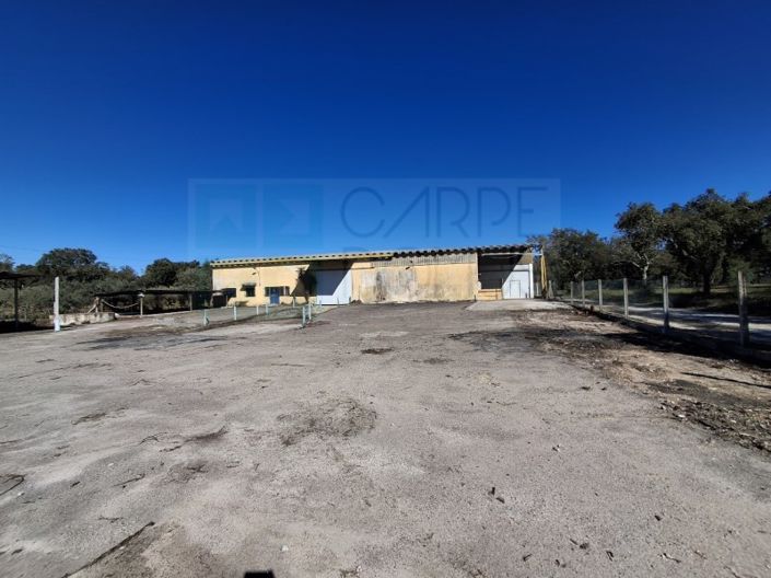 Image No.51-Propriété à vendre à Chamusca