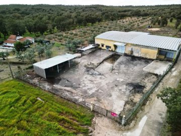 id7d0f9801-0000-0500-0000-00001551bf09