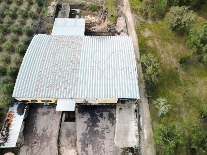 Image No.53-Propriété à vendre à Chamusca