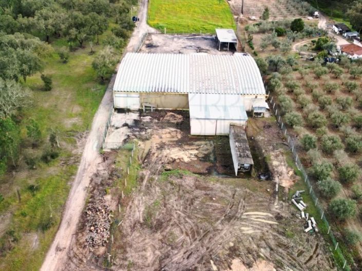 Image No.68-Propriété à vendre à Chamusca