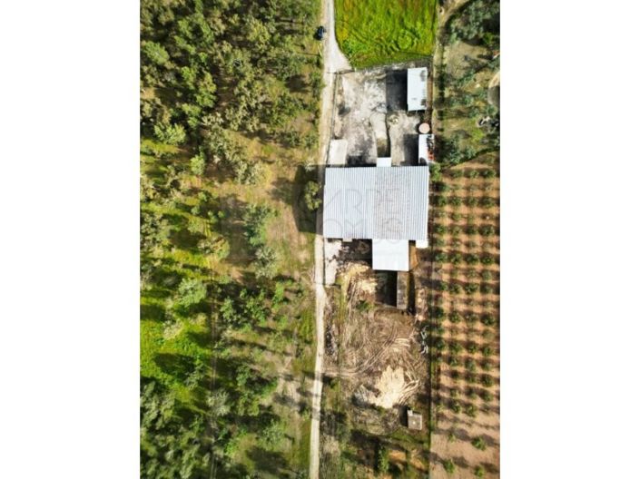 Image No.55-Propriété à vendre à Chamusca