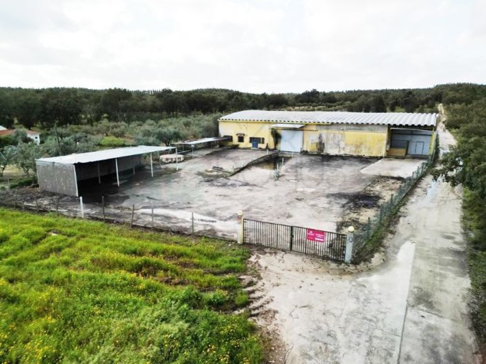 Image No.5-Propriété à vendre à Chamusca