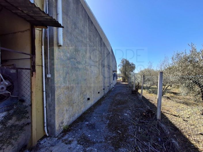 Image No.52-Propriété à vendre à Chamusca