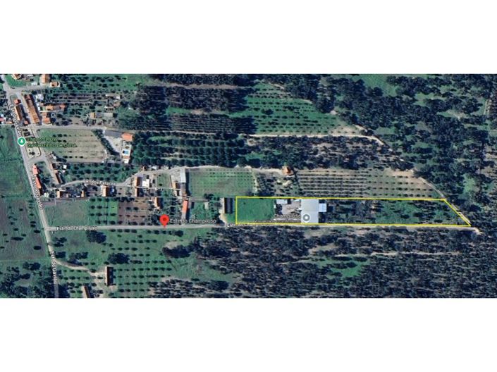 Image No.75-Propriété à vendre à Chamusca