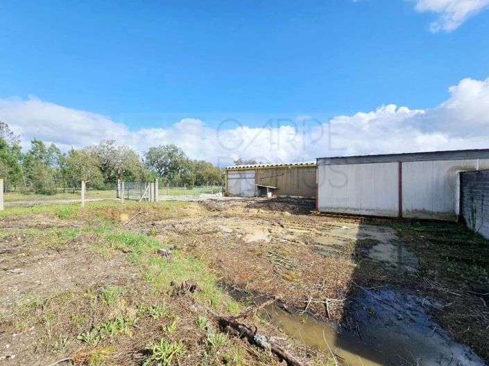 Image No.56-Propriété à vendre à Chamusca