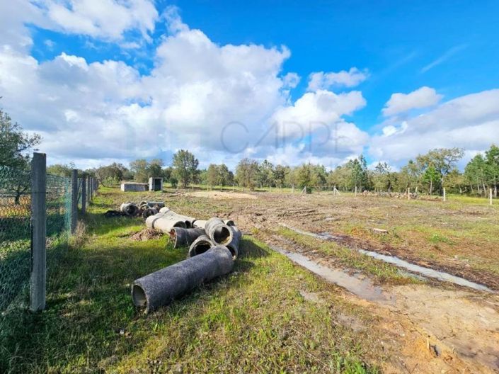 Image No.57-Propriété à vendre à Chamusca