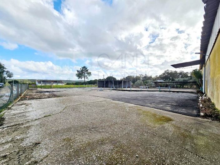 Image No.58-Propriété à vendre à Chamusca