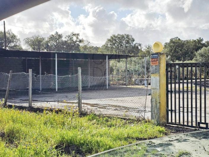 Image No.59-Propriété à vendre à Chamusca