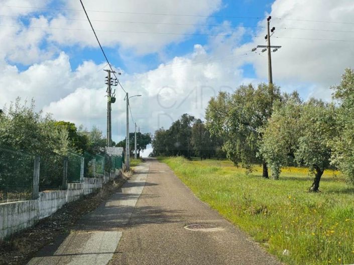 Image No.60-Propriété à vendre à Chamusca