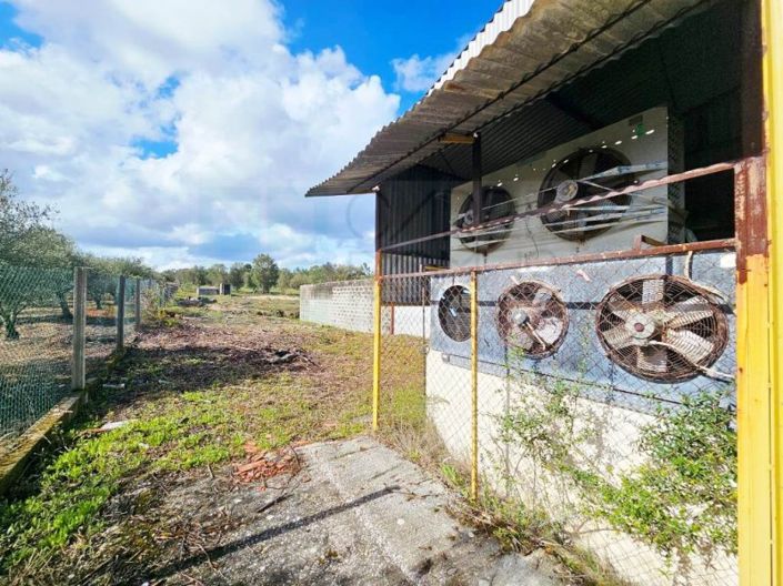 Image No.61-Propriété à vendre à Chamusca