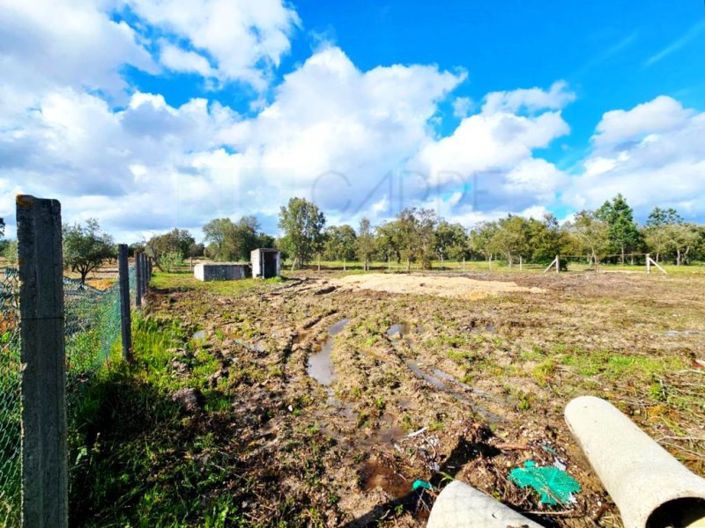 Image No.62-Propriété à vendre à Chamusca