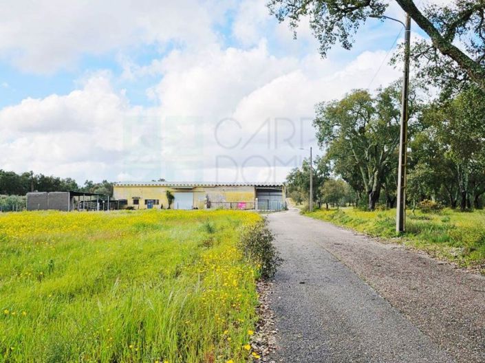 Image No.63-Propriété à vendre à Chamusca