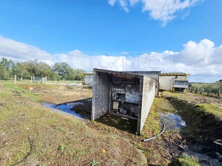 Image No.65-Propriété à vendre à Chamusca